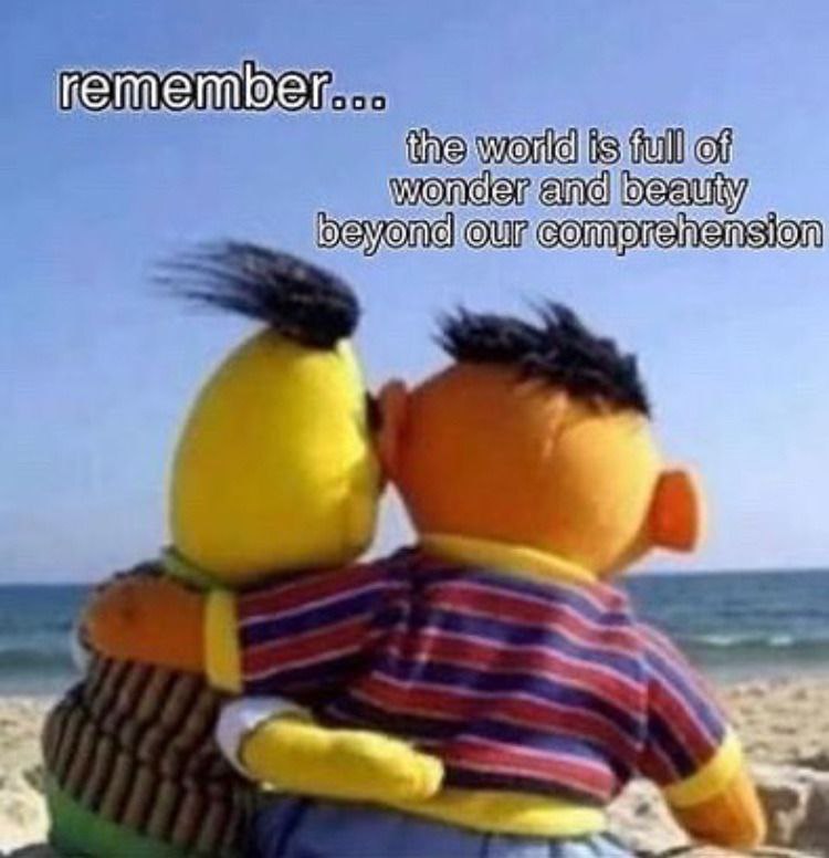 WholesomeMeme's tweet photo. https://t.co/LnNuB8zTwP