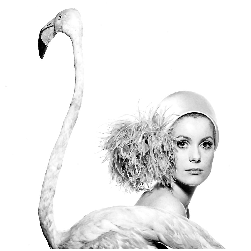 FASHION ICONS - Catherine Deneuve.
#fashionicons #fashion #cine #Cannes2023 #photography #style 

thecostumemagazine.com