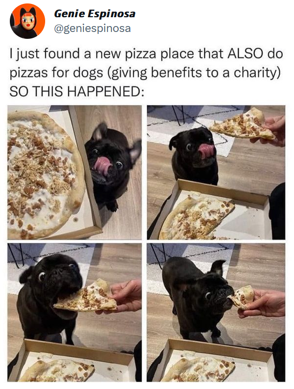 WholesomeMeme's tweet photo. Original tweet by Geniespinosa @geniespinosa https://t.co/GKfGYFMzzh