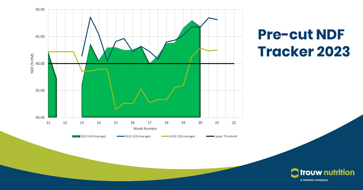TrouwNutr_GB's tweet image. Avg. NDF levels remain similar. Avg. sugar levels have dropped with many below target of 10% DM risking poor fermentation. Regularly test each cut to monitor grass development and to ensure optimal silage quality.

Read more trouwntr.tn/2ni

#Silage #TNGB #PreCut