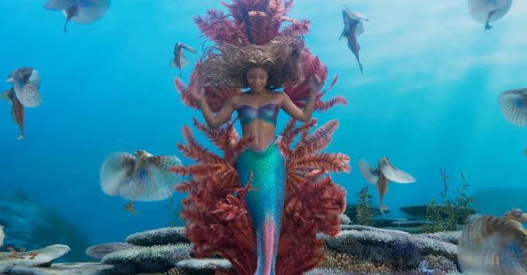 ArielqueenMimie's tweet photo. เธรดนี้จะมาเล่า ‘ประเพณีสำคัญของชาวเงือก’ ในหนัง #TheLittleMermaid ให้อ่านกันค่ะ เป็นประเพณีที่เราว่าน่าสนใจและเมจิคัลนะ โลกของเงือกดูเกี่ยวข้องกับ ‘เสียง’ มากๆ ทำให้มีพิธี ‘ตามหาเสียงของตัวเอง’ เมื่ออายุถึงเกณฑ์ ซึ่งยิ่งสกิลร้องเพลงดีเท่าไหร่ สถานะทางสังคมก็จะสูงเท่านั้น (มีต่อ) https://t.co/U2VwExdWe5