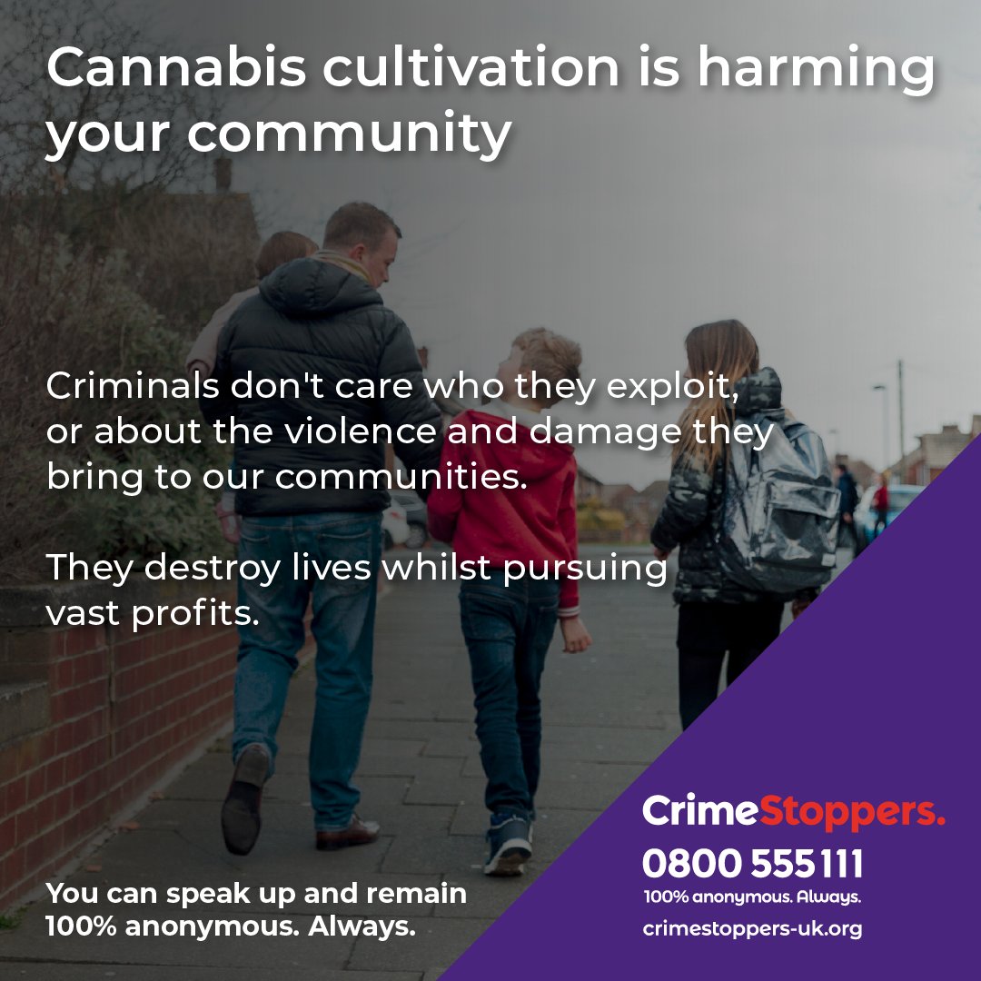 DurhamPolice's tweet photo. Would you notice an illegal cannabis farm in your local area? ๐
#SignsToSpot include: noise from fans, a sweet, sickly aroma and blacked out windows.
If you've spotted any, speak up, 100% anonymously ๐https://t.co/CMTgfzW1fw https://t.co/KoBBtypecd