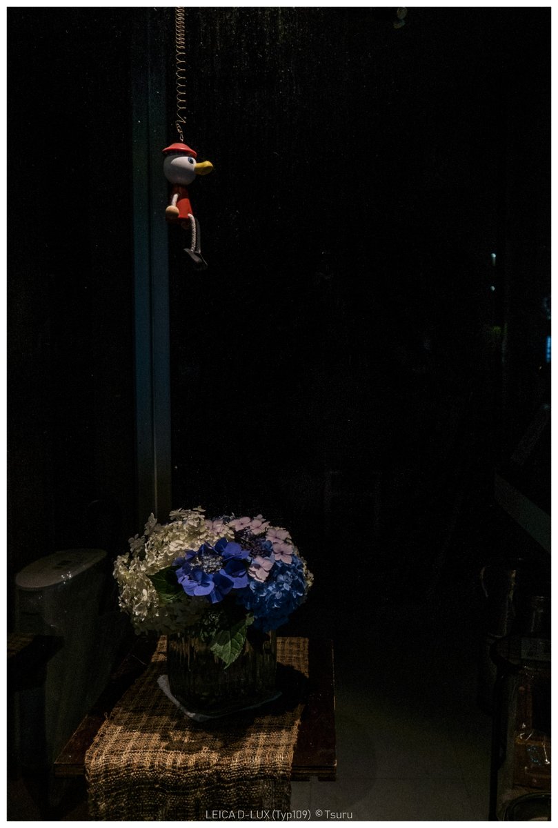 Leica_Q_Tsuru's tweet photo. Matsumoto in the early morning.
#leica #typ109 https://t.co/Qh1eFUme1N