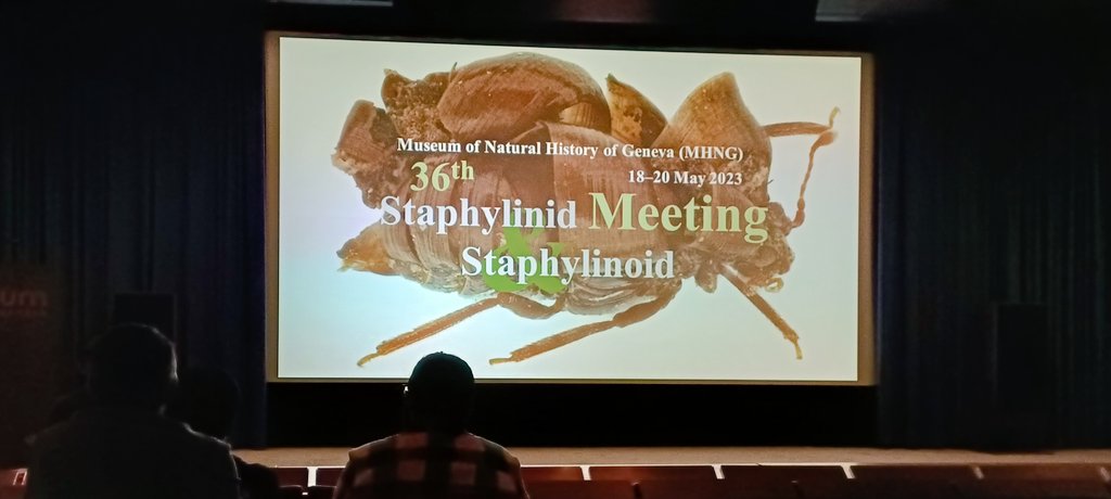 karo_mahlerova's tweet photo. Staph meeting 2023 at #MHNG #Entomology https://t.co/riIXqisbkb
