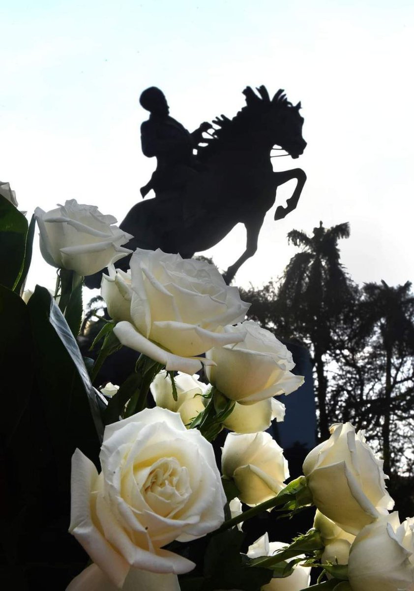 Hoy todas las flores son para el amigo sincero 🤍🌹 #MartiVive