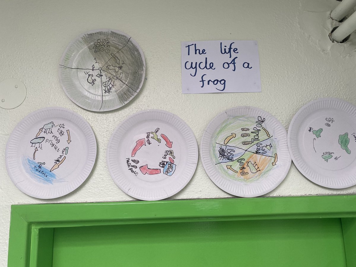 colmcillesrm1 tweet media