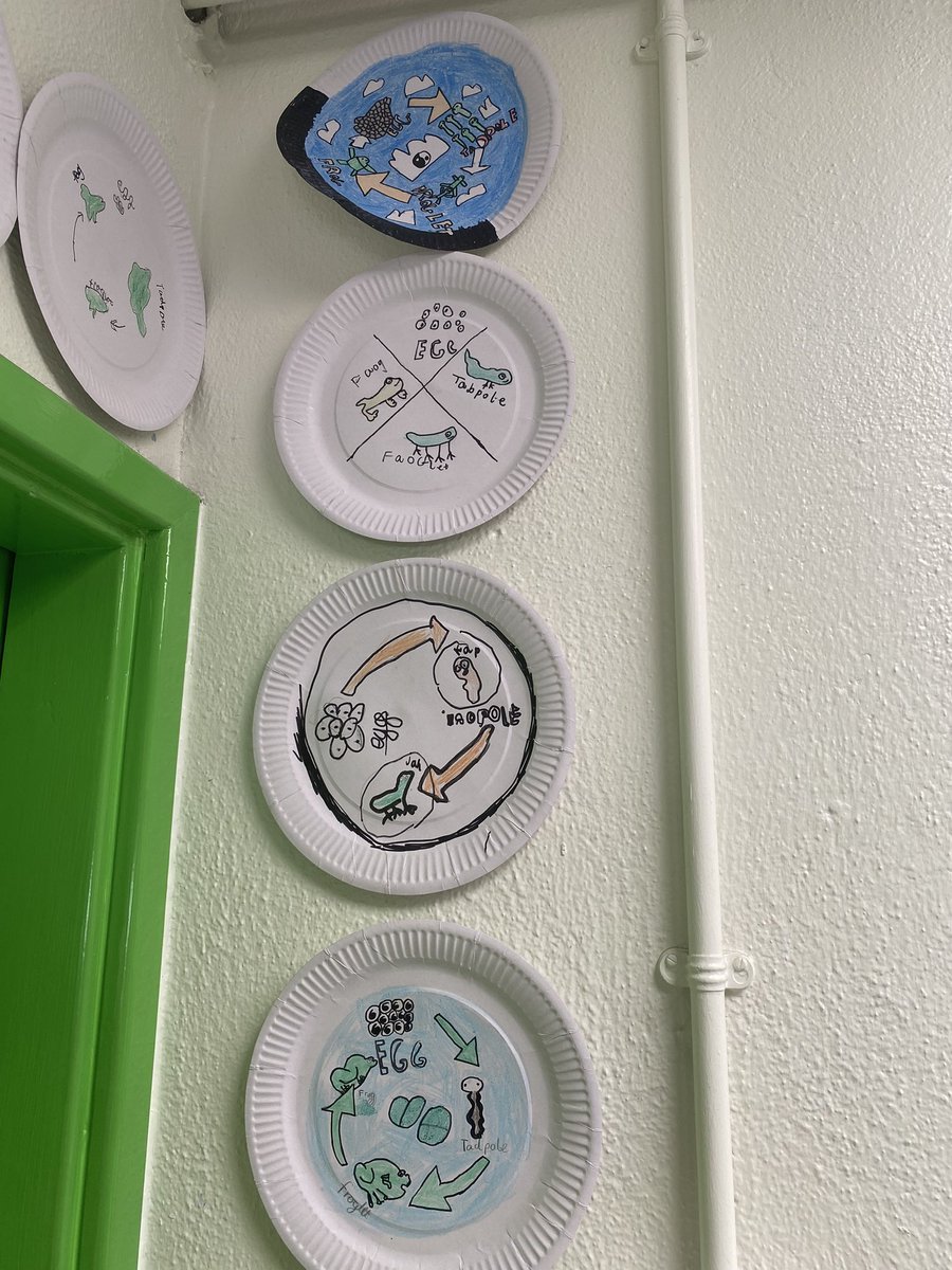 colmcillesrm1 tweet media