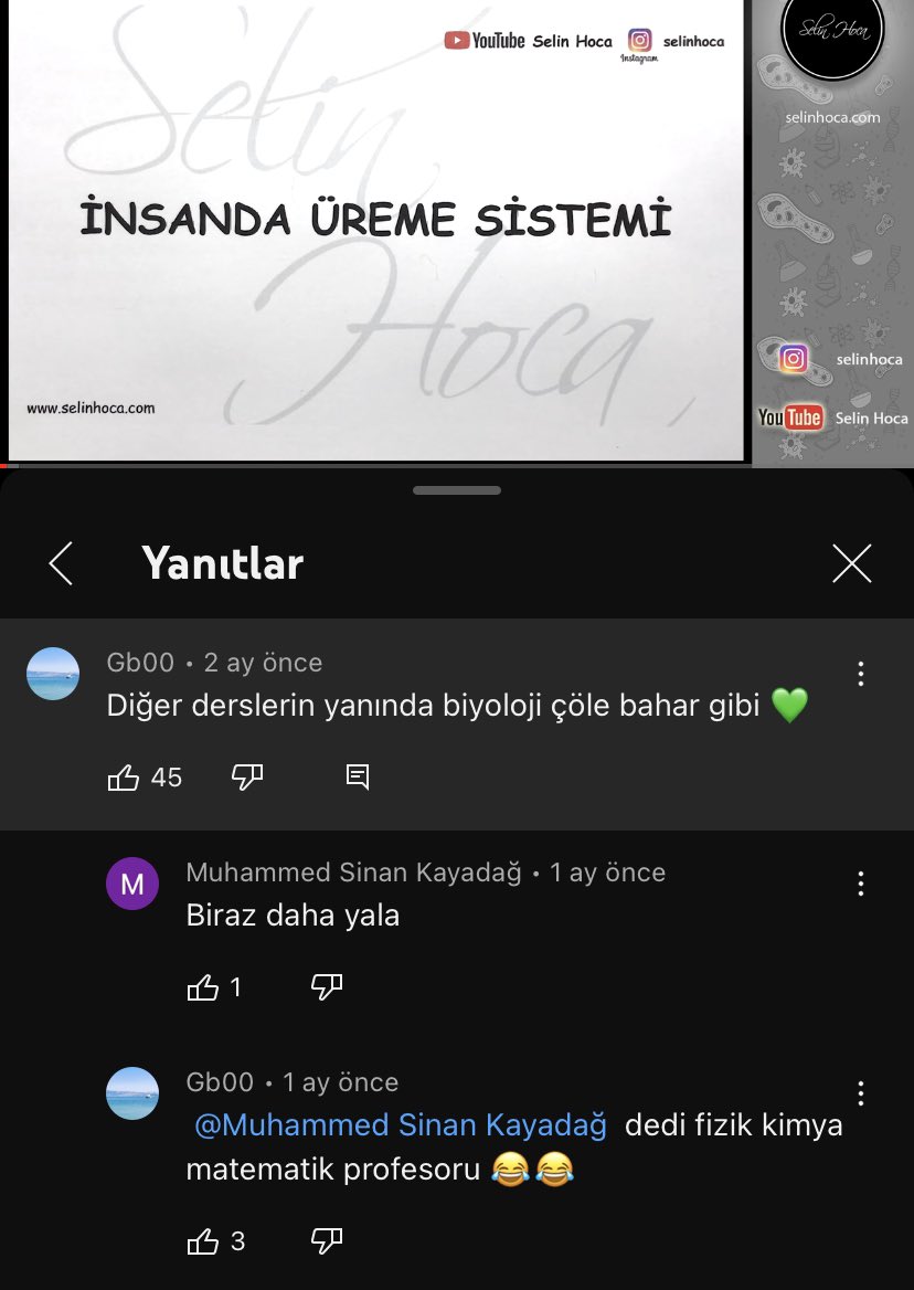 gerızeka ᖭ༏ᖫ tweet media