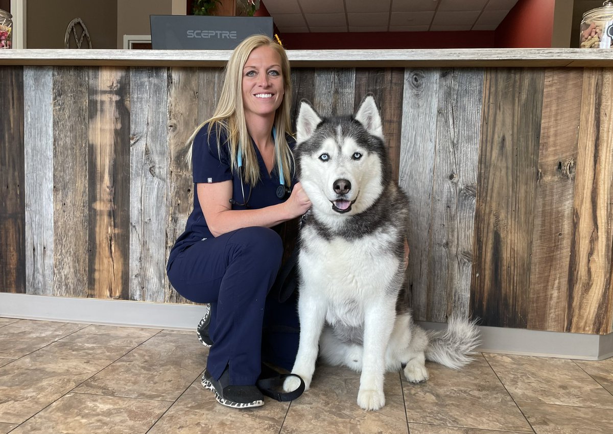JonathanHusky_'s tweet photo. Yearly checkup completed and proper good-boy treat received. Thank you #fentonrivervet for helping me to stay healthy so I can be at my best for @UConn #yesterday #ThrowbackThursday https://t.co/UzCAkTNpw2