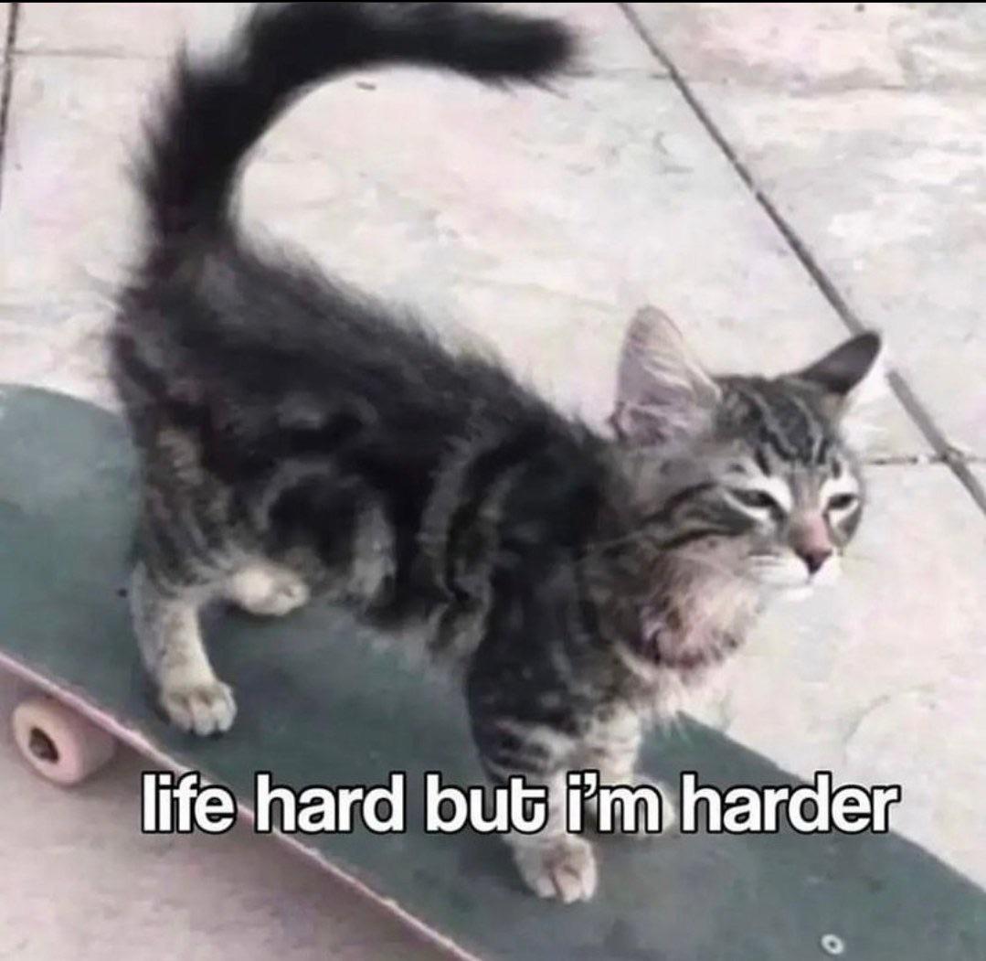 WholesomeMemes (@wholesomememe) on Twitter photo 