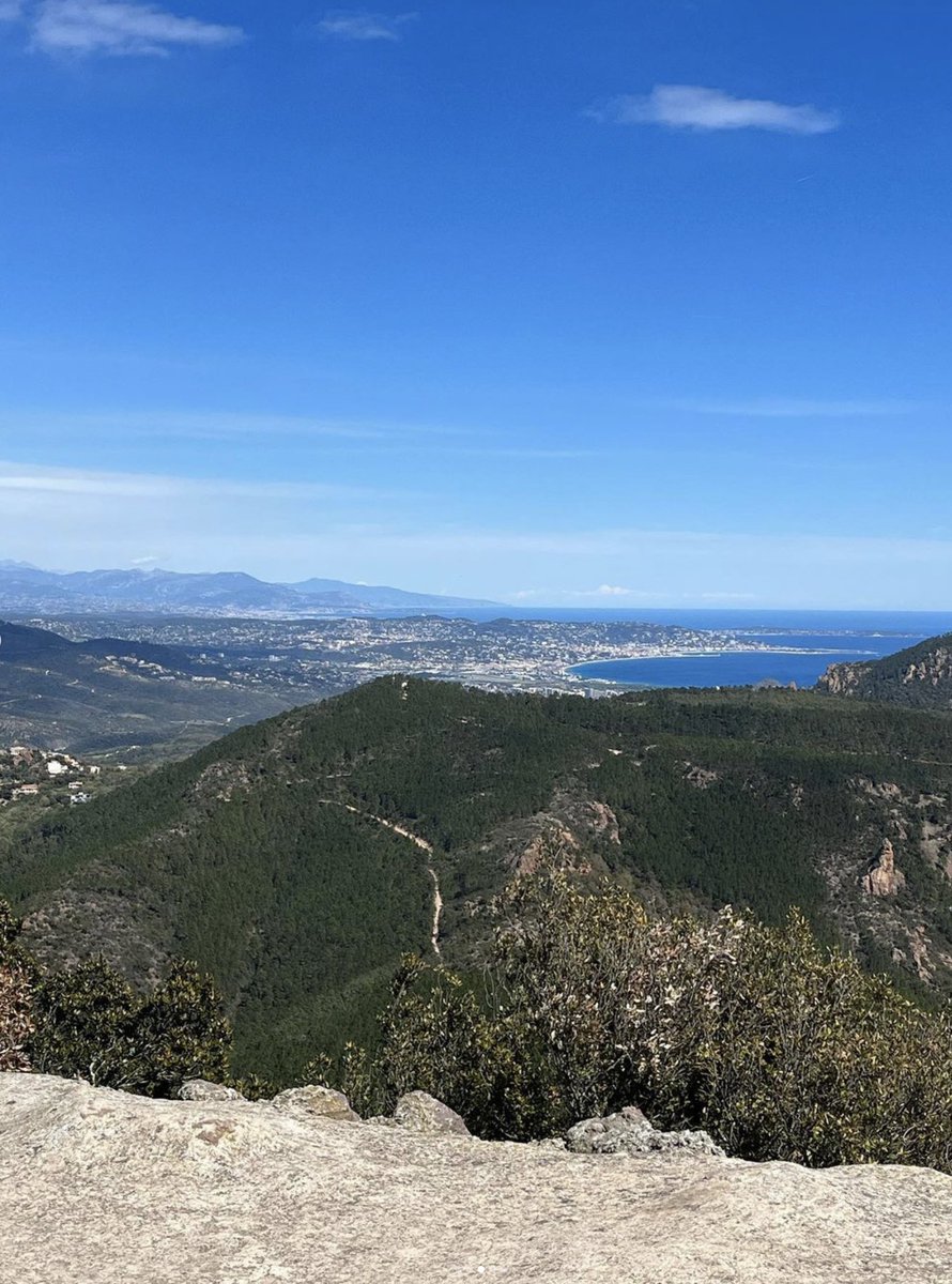 Fréjus Tourisme tweet media