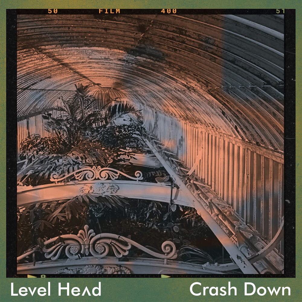 Level Head tweet media