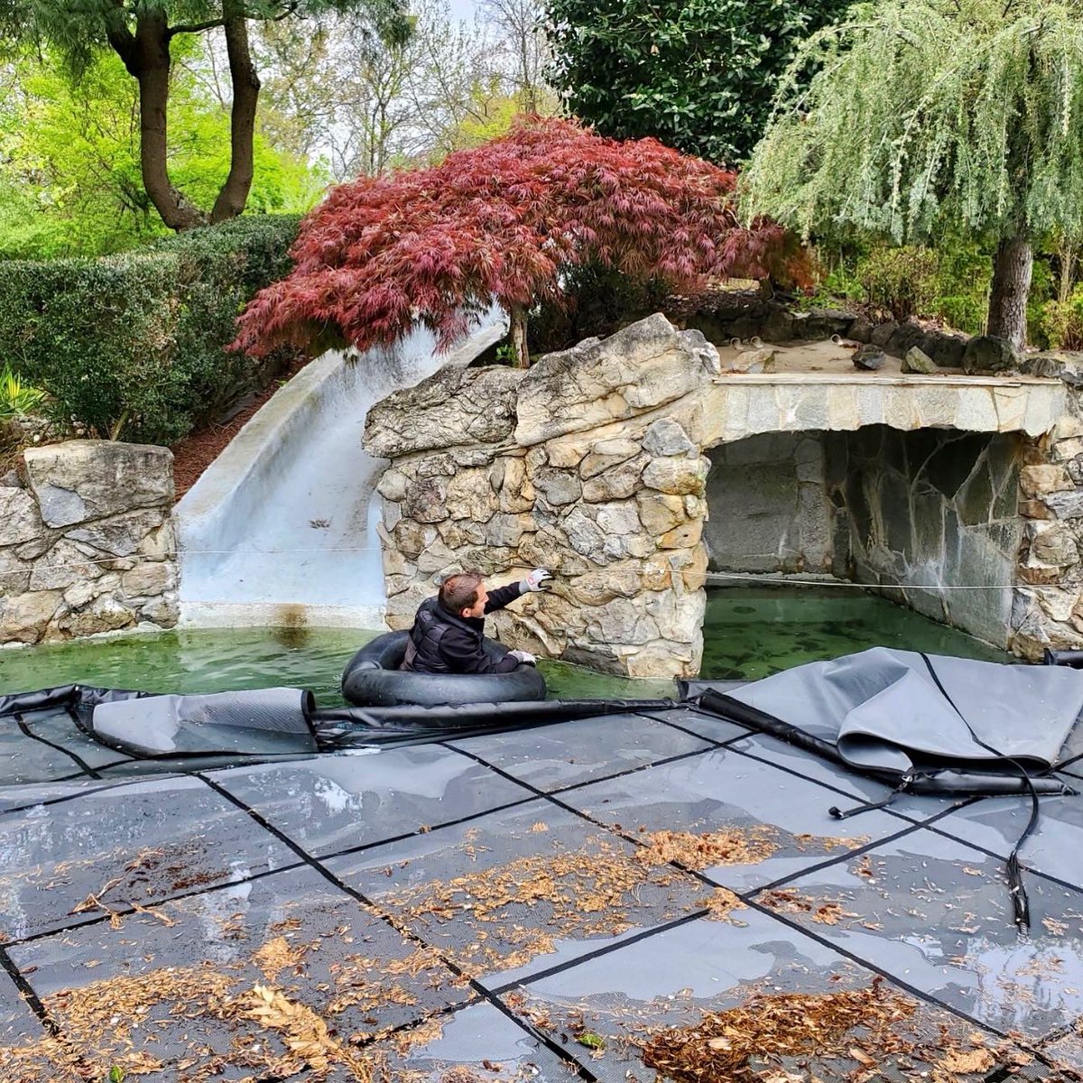 PelicanShops's tweet image. 🌟Our EB Shop Is Sending Out A “Big Thanks” To Merlin Industries And To Their Field Rep Marc… For Getting This Custom Safety Cover To Fit Perfectly &amp;amp; Securely!🔹These Customers Are Beyond Grateful! #poolcover #poolindustry #poolkings #merlinindustries @PelicanShops