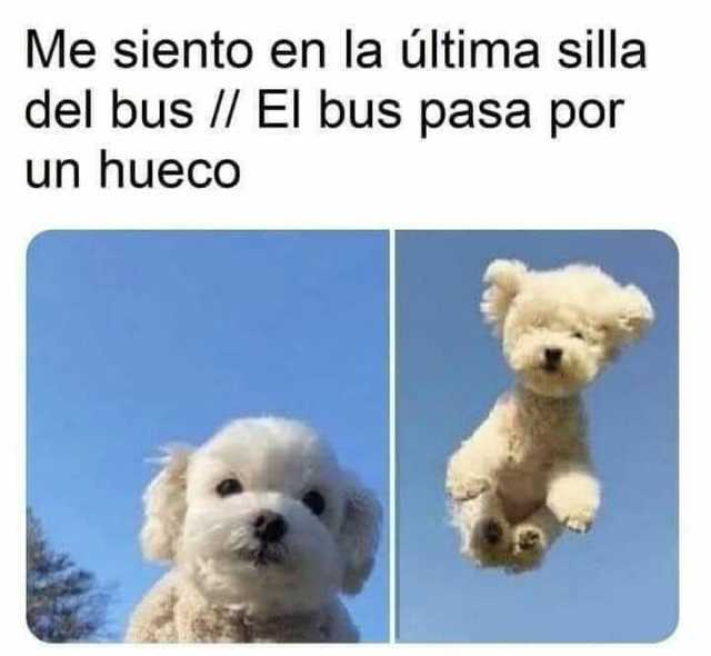 Me siento en la última silla del bus I/ El bus pasa por un hueco #lol #Camion #bus #MemesGraciosos #memes #memesespañol #momos #momazos #dopl3r