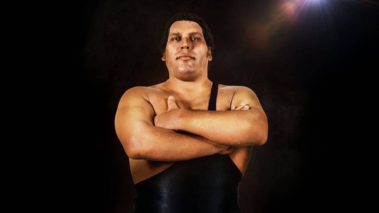 Happy birthday, Andre The Giant! 