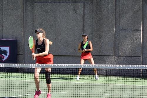 Aristotle the Turtle tweet media