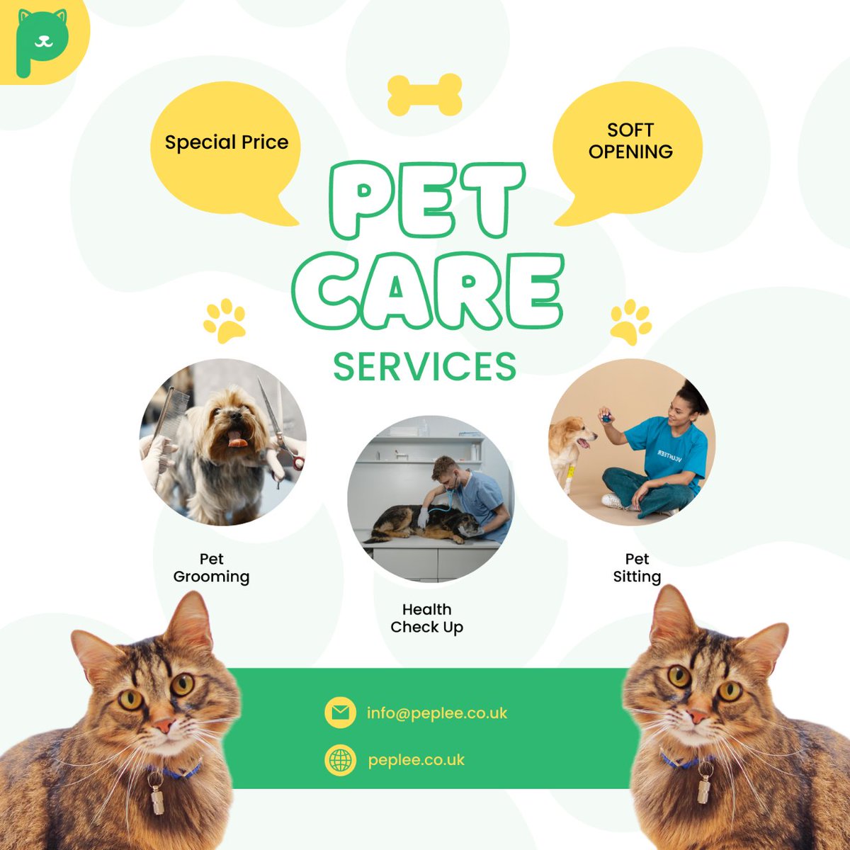 Hey, pet lovers! 🐾📹 Check out our amazing services at Peplee Pet Care. From pet grooming to health check-ups and pet sitting, we've got it all covered! 🐶🛁🩺🏡 
#peplee #dog #petcare #petservices #petgromming #petcare #petsitting #cutepets #cutevideos #happypets #petwellness