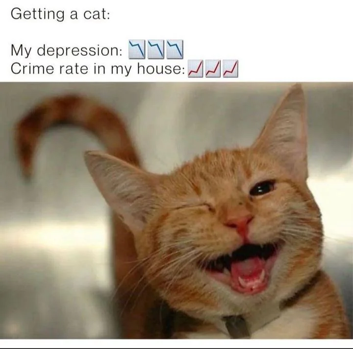 WholesomeMeme's tweet photo. https://t.co/1FkiJ0tZco
