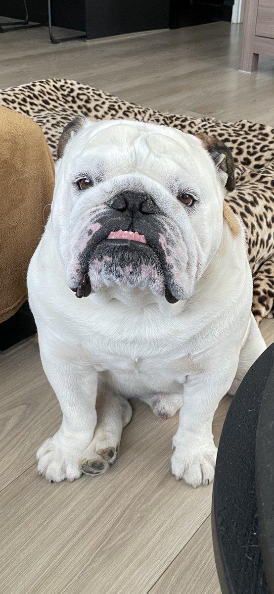 King Loki💚 tweet media