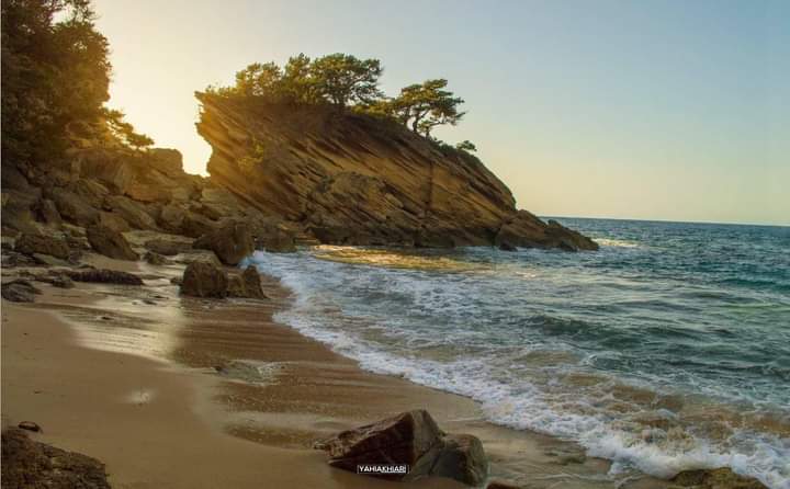 اللهم صل وسلم وبارك على نبينا محمد وعلى آله وصحبه وسلم