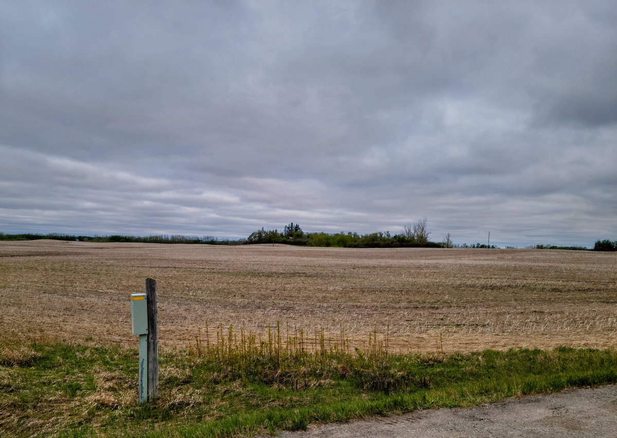 The rolling blue grey clouds seemed to intensify all of the colours on the ground, and people still can not change their sex. 
#TransIsALie 
#TransWomenAreConMen 
#JustSayMen 
#LetWomenSpeak 
#KPSS
#RespectMySex