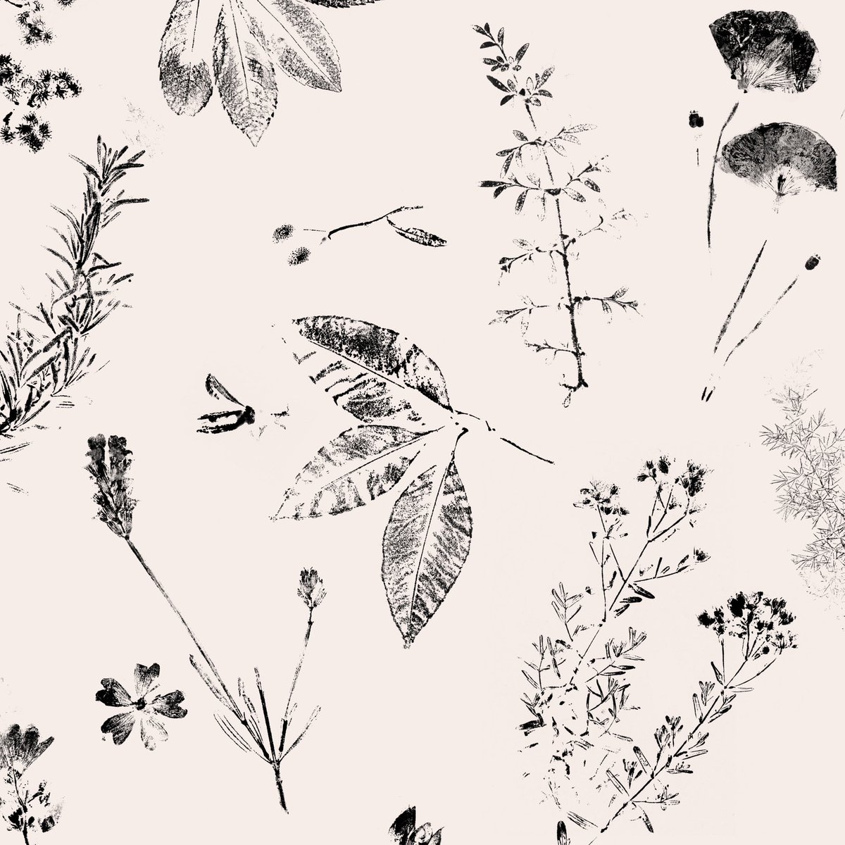 Senyor Estudi tweet media