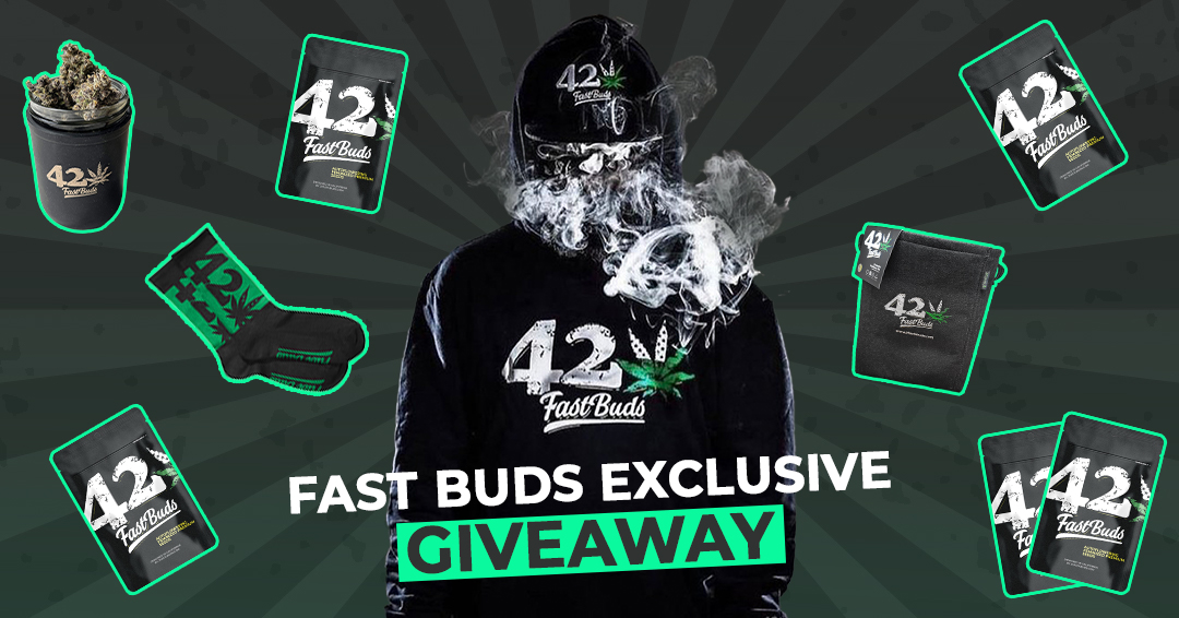 🚨READY FOR A GIVEAWAY?🚨 
3 winners We're giving away the most highly demanded Fast Buds goodies!  
🎁 Win a hoodie, socks, a pot, a jar and 10 seeds.
To enter:
- Follow  <a href="/Fast_Buds/">Fast Buds</a>
- Tag a friend 
- Retweet.  
Good luck! 🤞🤞🤞
We will announce winners next week! Let's go!