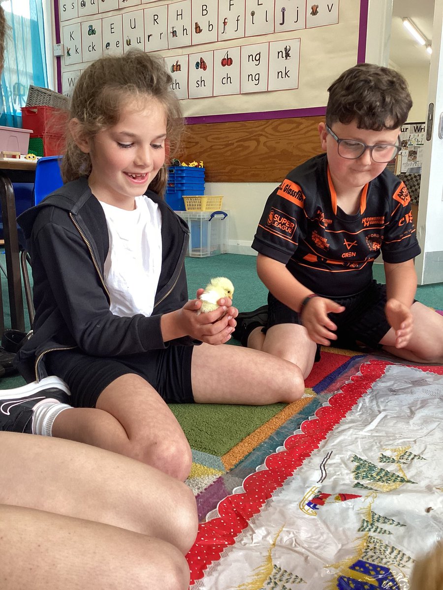 TadPrimaryAcad's tweet photo. The time has come to say goodbye to our lovely chicks as they head off to their farm to live a long and healthy life. All the children have welcomed Bayley, Dobby, Charles and Tango into our TPA family. They will be missed, good luck chicks! #TadcasterEYFS #Tadcasterscience https://t.co/VEJ20JBa4P