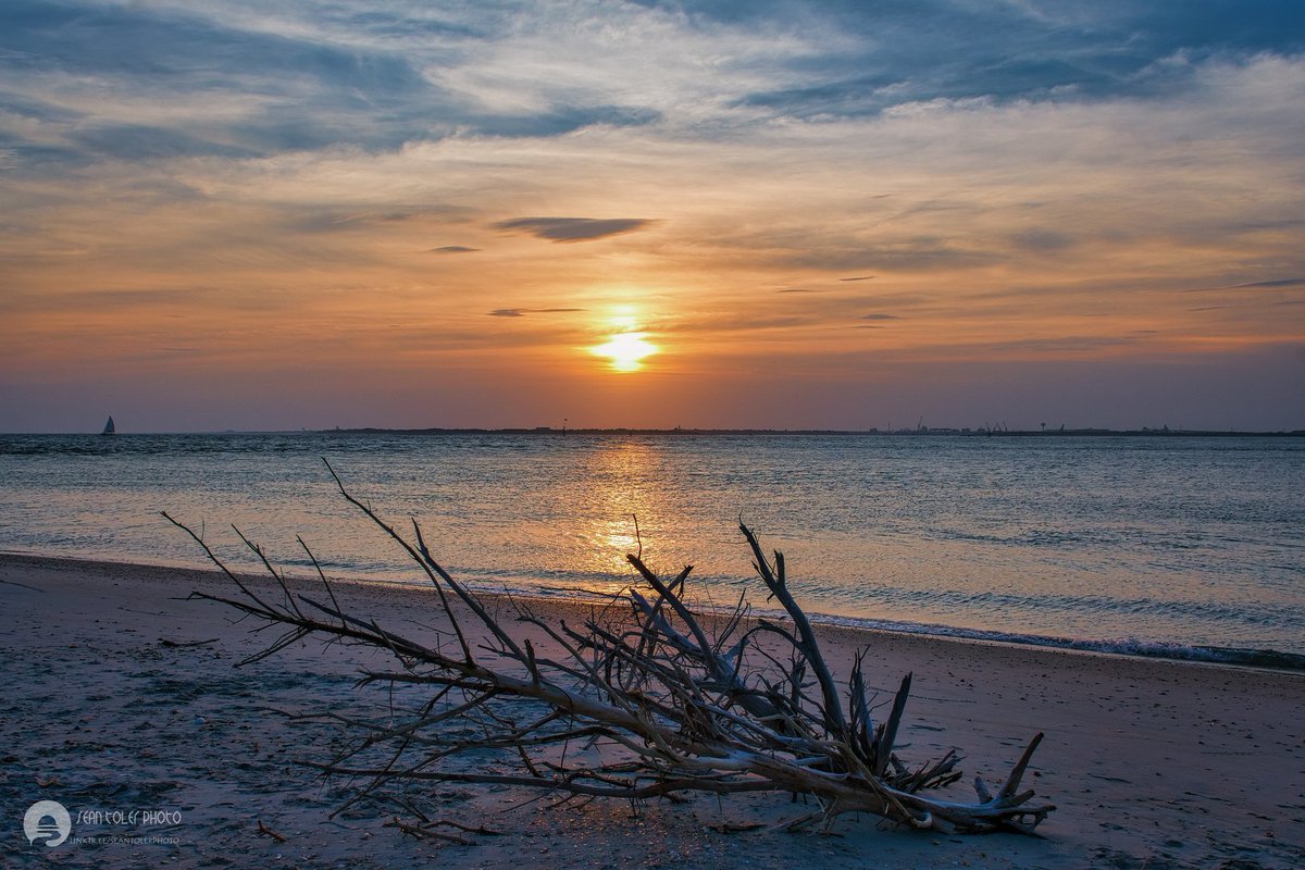 Sunset at Shackleford Banks, NC.
#sunset #dusk #photograghy #nature #crystalcoast