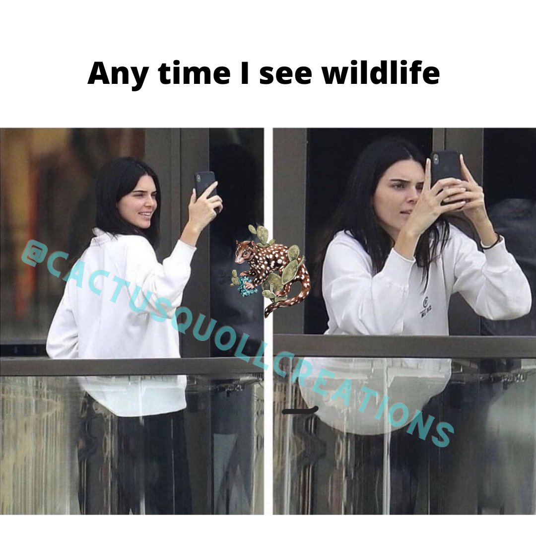 Gael Sanchez (she/her) (@cactusquoll) on Twitter photo 