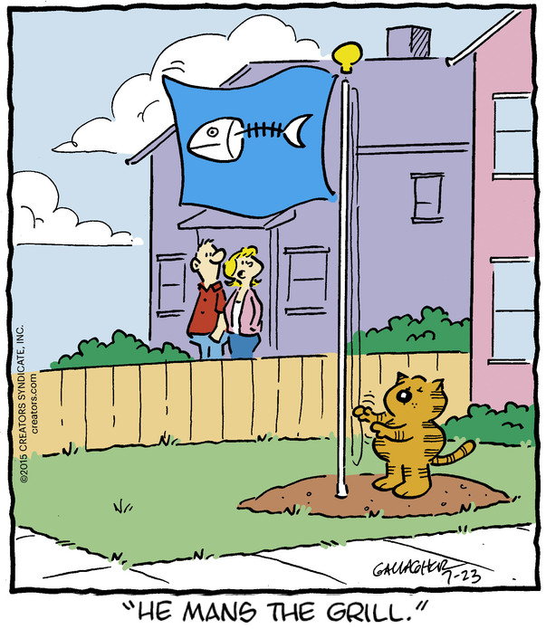 its_heathcliff's tweet photo. It's Heathcliff! https://t.co/ODQ9jo0iHo