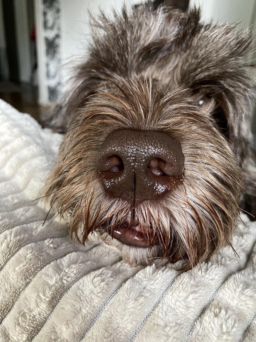 Haluaisin mennä uimaan. 
Pliiiiiisssss 🙏🏻