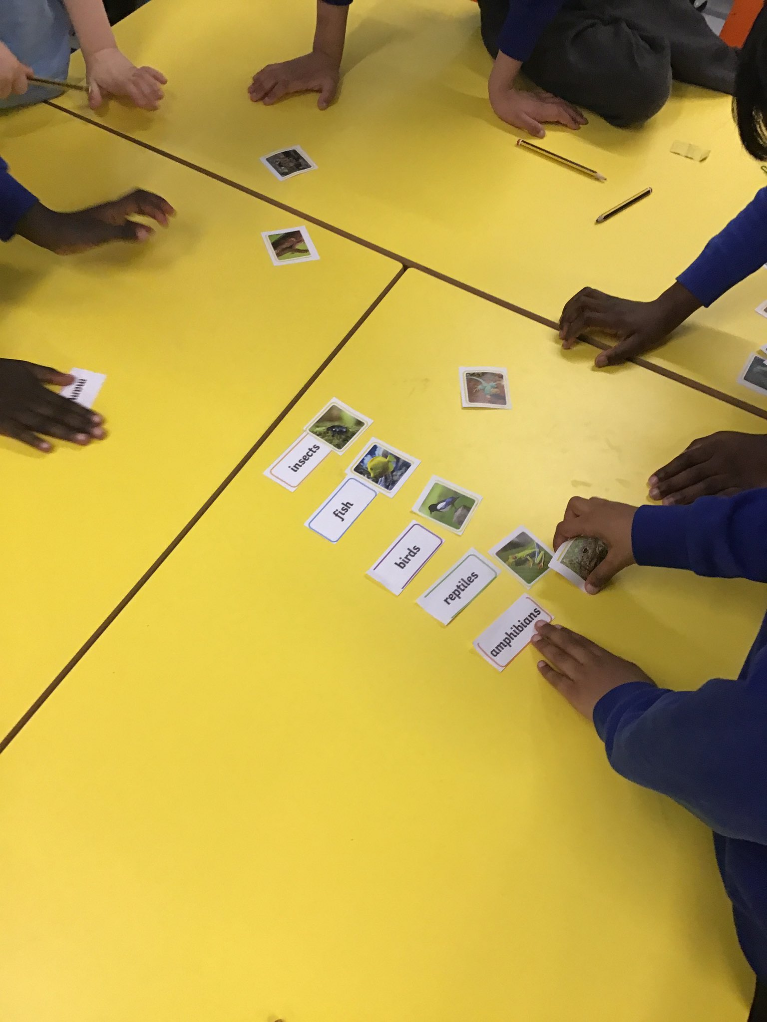 Fosse Mead Primary Academy on Twitter "Year 1 have been learning all