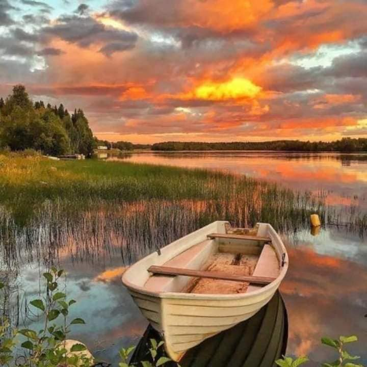 artindetails's tweet photo. sunset https://t.co/8ZgLtOIr0e