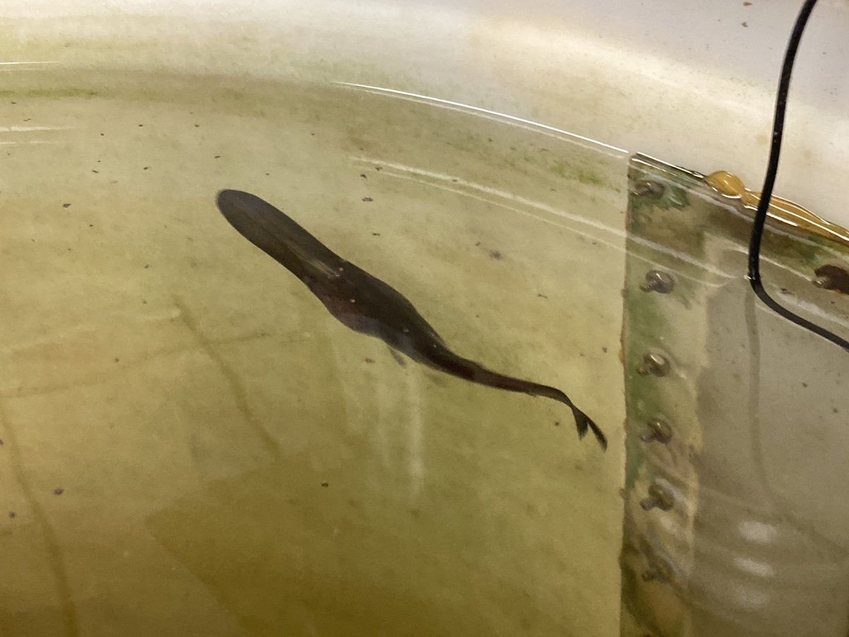 STM Env Science tweet media