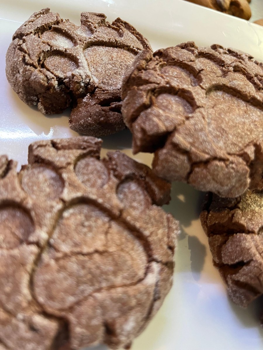 AwuCafe's tweet photo. It’s been a shortbread kind of week. Today we have chocolate shortbread, cinnamon rolls and mixed berry or chocolate chip coconut scones. We also have our usual dusky line up of over 20 varieties of cookies from butter pecan to chocolate chip. https://t.co/U3pUJhgzMp
