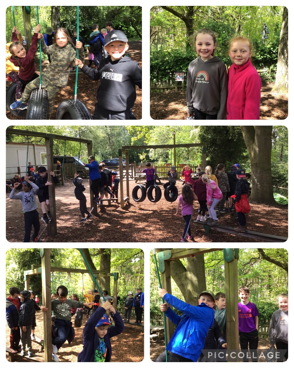 BroomfieldsJnr's tweet photo. 3AR had an amazing day at Fox Howl in Delamere Forest! We enjoyed a woodland walk, orienteering, stream dipping and soil sampling. #BroomfieldsYear3 #BroomfieldsScience #BroomfieldsGeography https://t.co/clgaG03Xkc