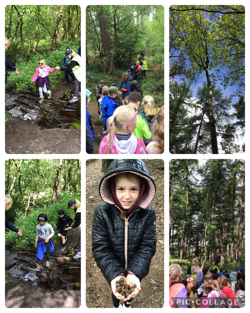 BroomfieldsJnr's tweet photo. 3AR had an amazing day at Fox Howl in Delamere Forest! We enjoyed a woodland walk, orienteering, stream dipping and soil sampling. #BroomfieldsYear3 #BroomfieldsScience #BroomfieldsGeography https://t.co/clgaG03Xkc