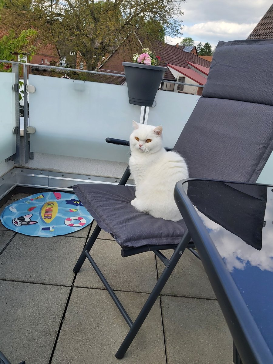 ... und die neuen Stuhlauflagen werden auch gleich getestet 😻
