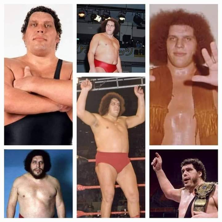 Happy Heavenly Birthday To The Late Great Andre The Giant.       (May 19th, 1946 -January 27th, 1993) 
