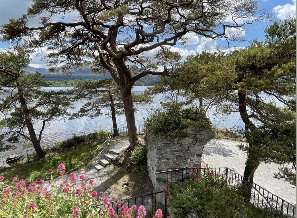 The fabulous view from the top of the 12th Century McCarthy Mór Castle ruins, on the grounds of The Lake Hotel 💖 #lakehotel #lakehotelkillarney #irishcastles #surroundedbynature #lakeviews #escapetothelake #lovekillarney #experiencekerry #discoverireland