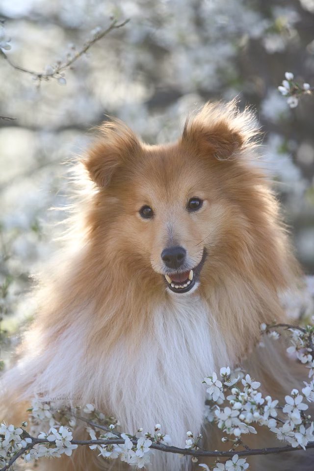 Charlotte tweet media