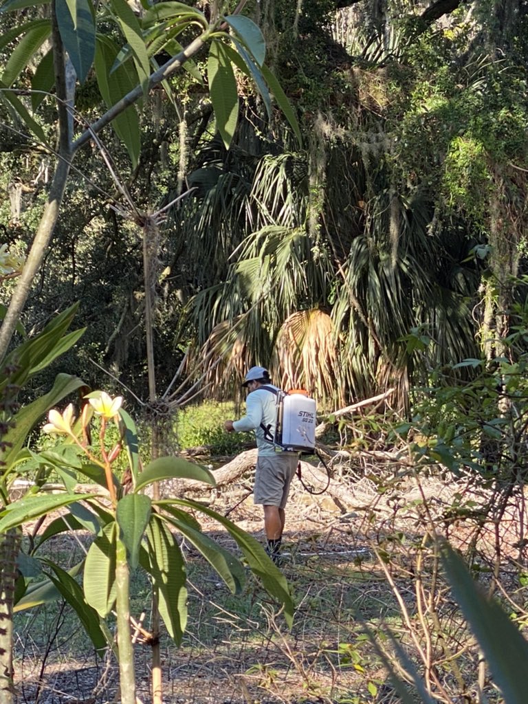 OldFLA's tweet photo. This makes me crazy- wholesale application of herbicides over the entire backyard, right up to the lake. And no one lives here. #absenteeowner #badfornature https://t.co/7DgHHmoV6I