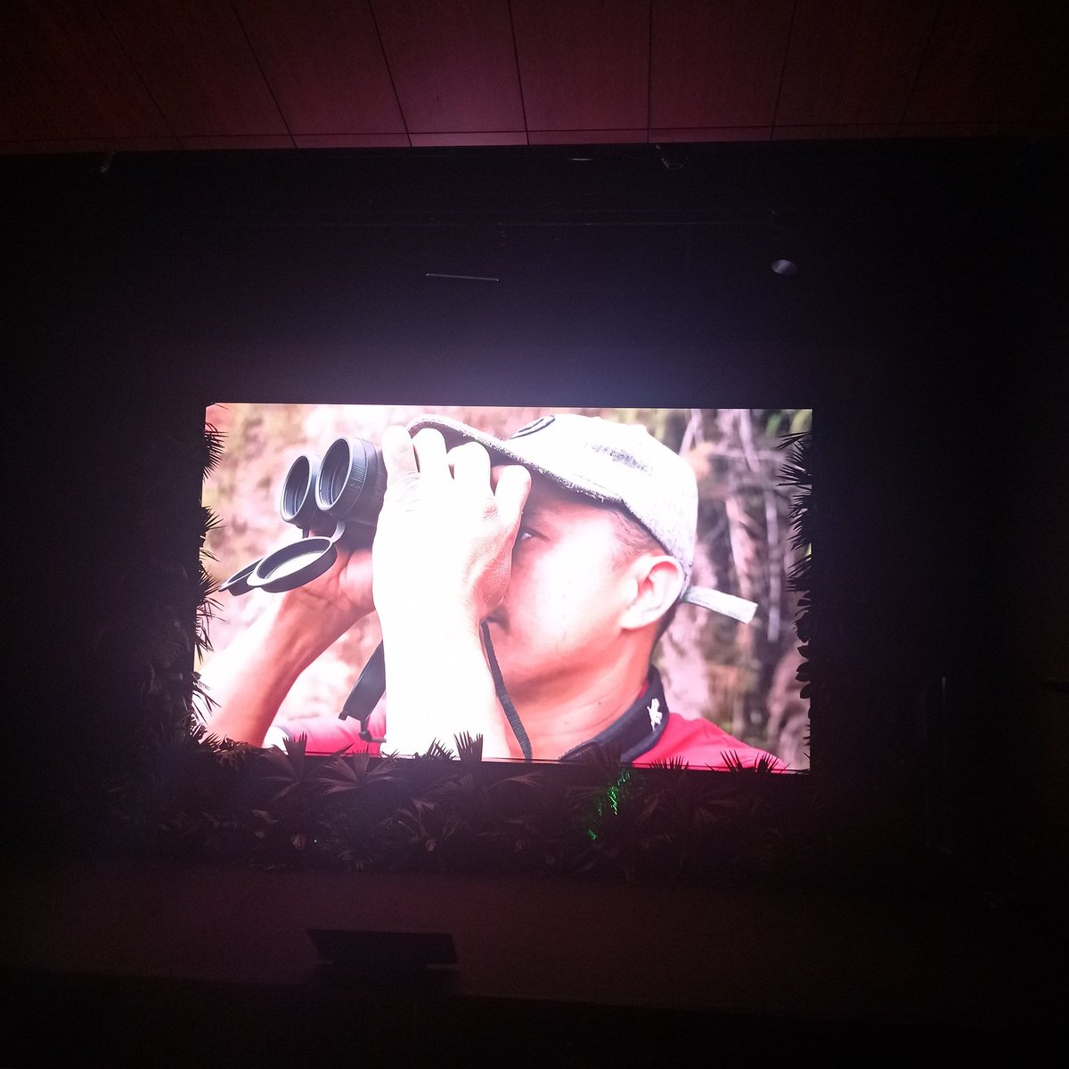 ranamarilla's tweet photo. Anoche fue el lanzamiento del documental Corazón Verde, se habla de la problemática ambiental de Antioquia. Las aves y las palmas de Anorí arrancan como protagonistas!! Les dejo el link para que le saquen el ratico. https://t.co/ZktjHEVd3a https://t.co/r1VQTbIy8b
