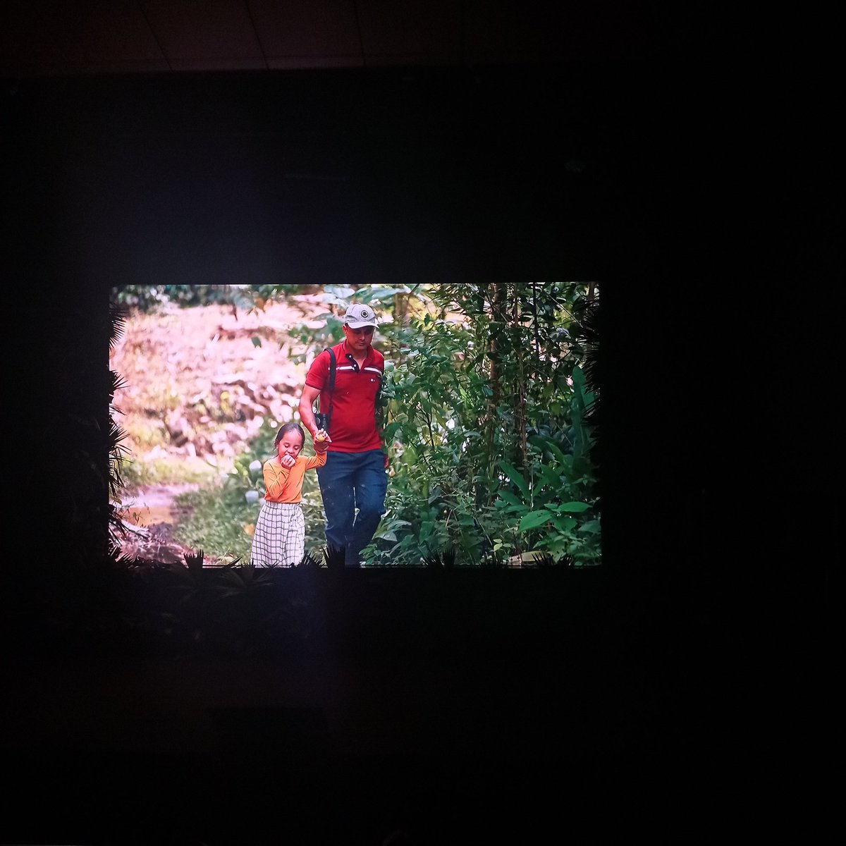 ranamarilla's tweet photo. Anoche fue el lanzamiento del documental Corazón Verde, se habla de la problemática ambiental de Antioquia. Las aves y las palmas de Anorí arrancan como protagonistas!! Les dejo el link para que le saquen el ratico. https://t.co/ZktjHEVd3a https://t.co/r1VQTbIy8b