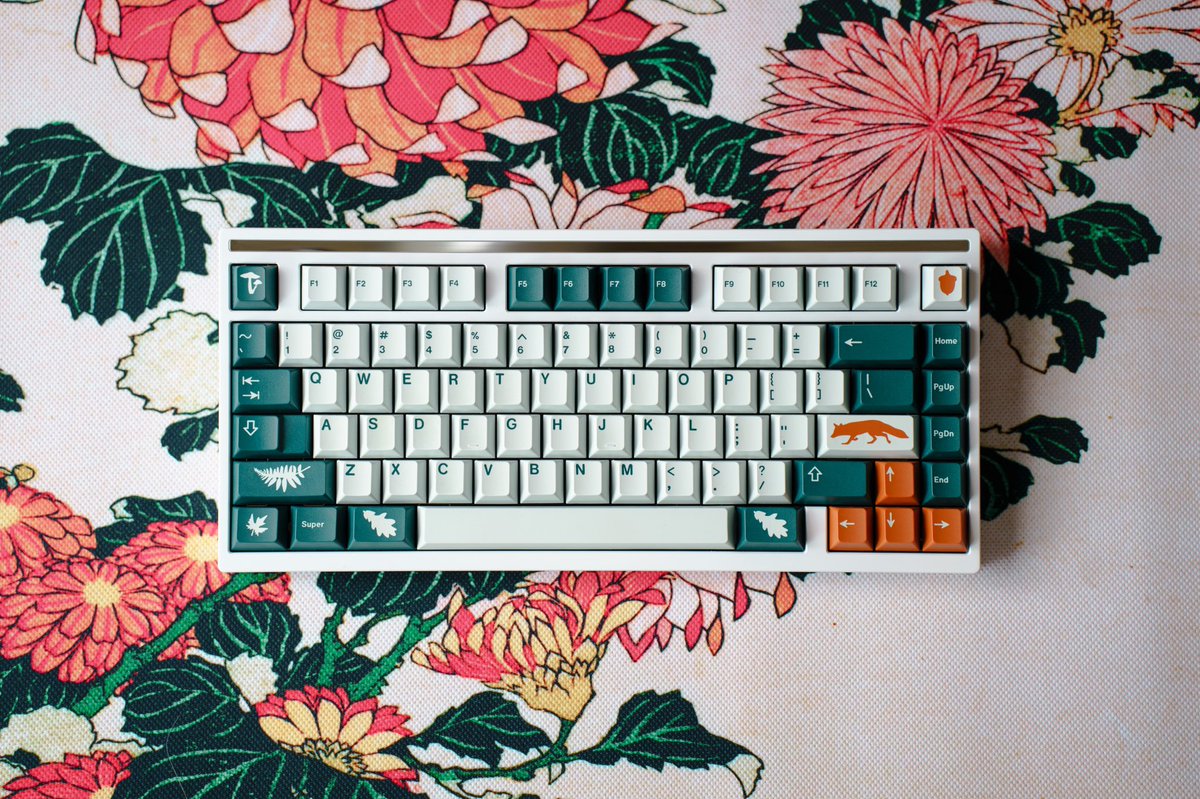 tylerkeyboard's tweet photo. GMK Fox gooood https://t.co/Zgep7Y79oA