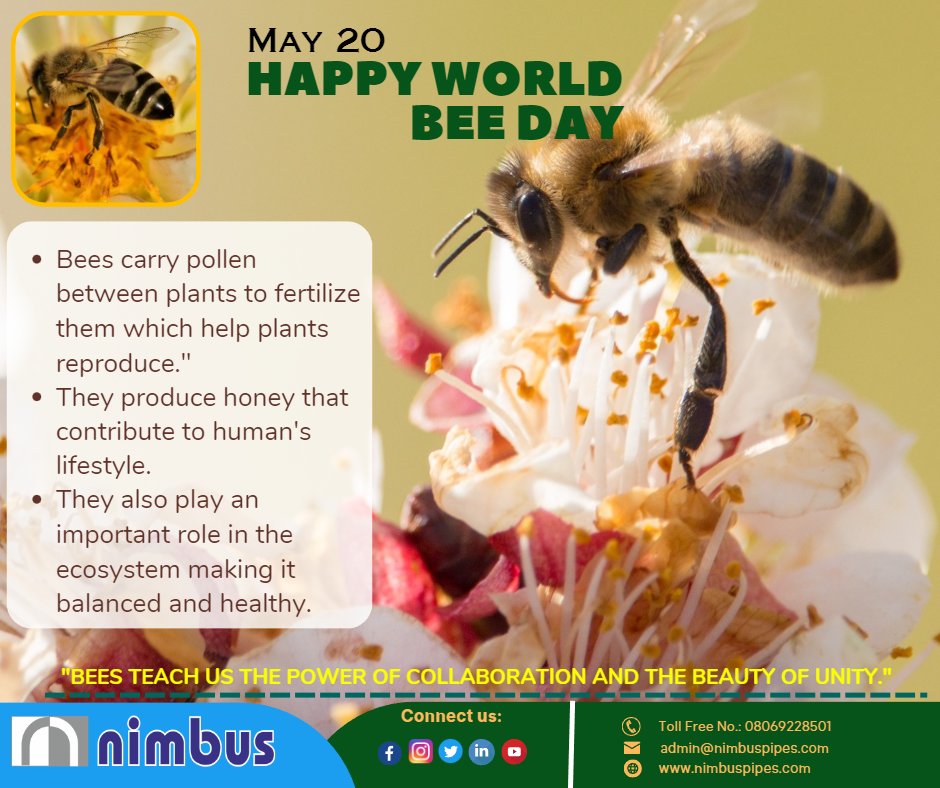 20th May, World Bee Day!!! 
“If your soul is sweet like honey, people will be drawn to you like bees.”
 #nimbuspipeslimited #PDMC #jaljeevanmission  #PEPipes #microirrigation #agriculture #growers #Horticulture #Waterproductivity #worldwaterday2023 #dripirrigation #sustainability