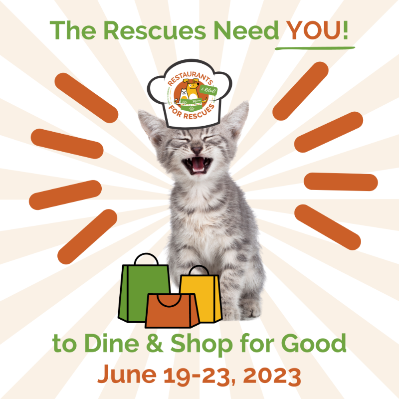 HSNEGA's tweet photo. Restaurants and Retailer for Rescues is a week of restaurants giving back to save lives. This year's event will take place June 19-23, 2023. If you are interested in PAWticipating please reach out to Kevin at KWells@HSNEGA.org or sign up here: https://t.co/TiBwQ2V3Nr https://t.co/4YnFUnj8Ze