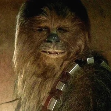  Happy Birthday Peter Mayhew. We love and miss you Chewie. 