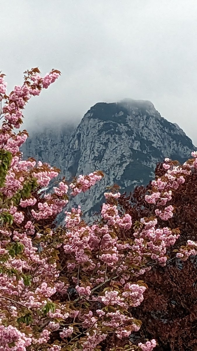 Mittenwalder Frühling